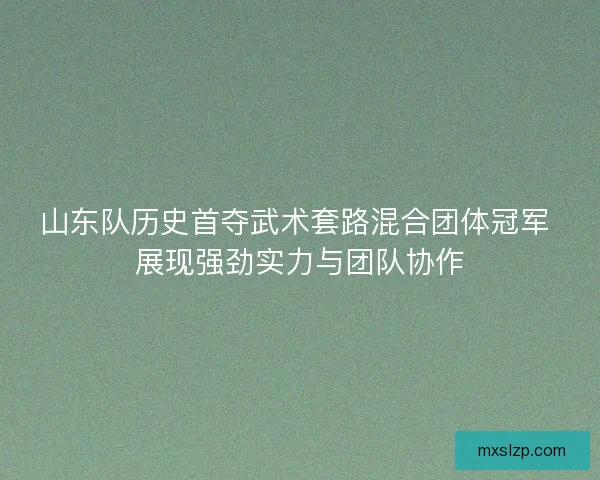 山东队历史首夺武术套路混合团体冠军 展现强劲实力与团队协作